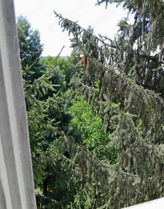 Apartament spațios, cu 3 camere, zonă centrală